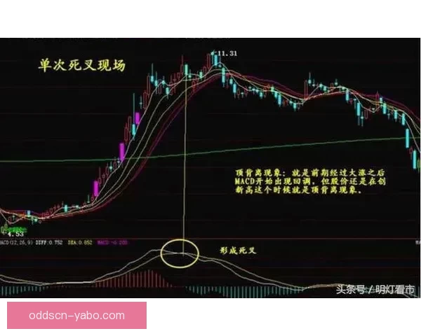世界杯跟单策略全解析 玩转投注技巧提升收益 轻松把握赛事机会